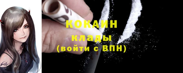 дживик Горняк