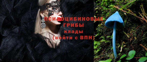 дживик Горняк