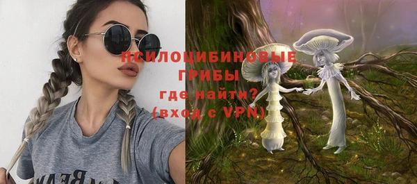spice Горно-Алтайск