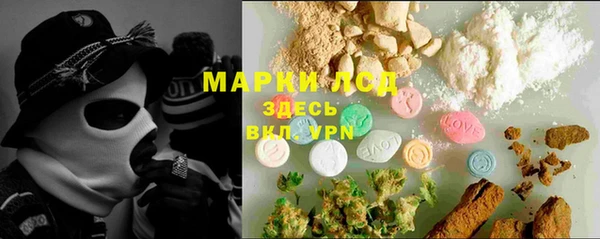 дживик Горняк