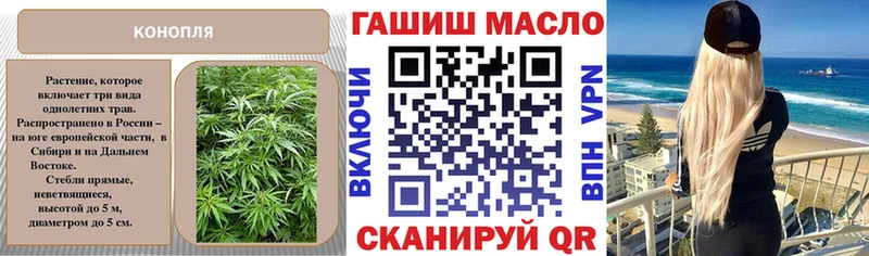 Купить закладки  Шелехов  Дистиллят ТГК концентрат 