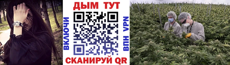 Купить где  Шелехов  Канабис LSD WEED 